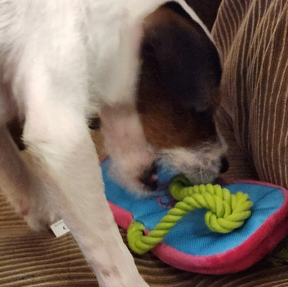 @bethybd LIVE TONIGHT NYE! 6pmEST Feeling Festive  Details⬇️Use➕️/Deals&Givey!🎉 - Picture 13 of 16